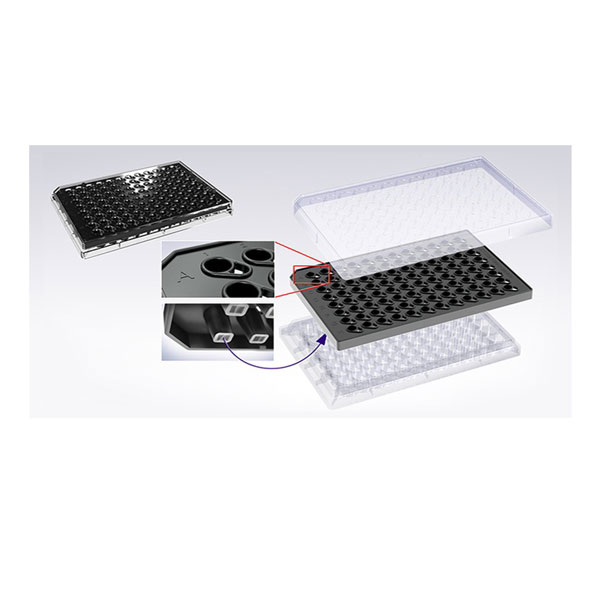 Sartorius96孔化学趋化板 Sartorius96孔化学趋化板